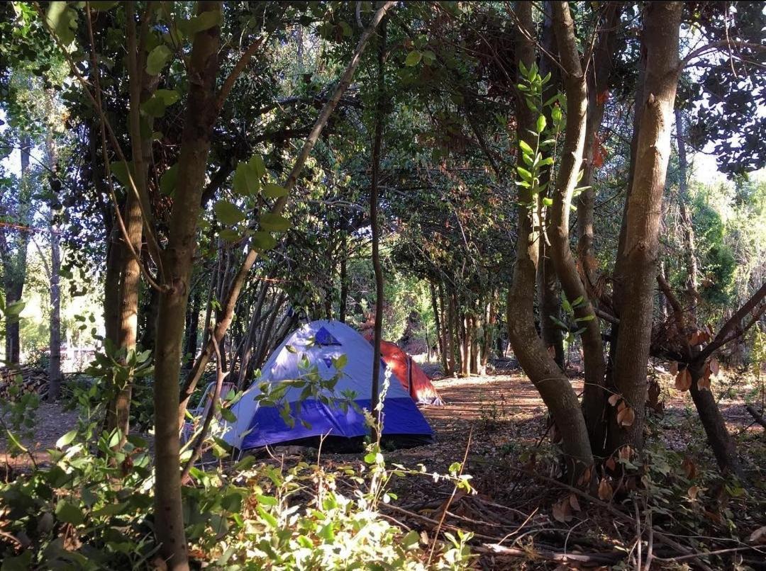 Lircaydomohostal - Domo 40m2 4 Personas *